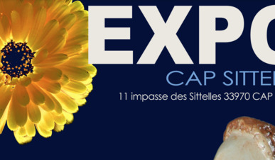 Exposition Cap Sittelle